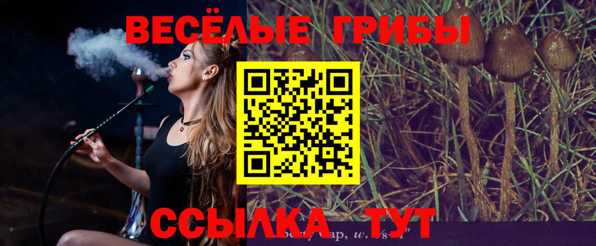 Галлюциногенные грибы мухоморы  купить закладку  Серов  Псилоцибиновые грибы GOLDEN TEACHER  Вход с VPN 