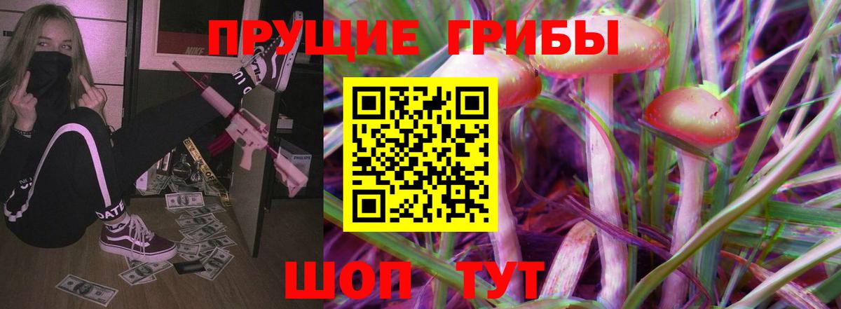 Псилоцибиновые грибы мицелий Серов